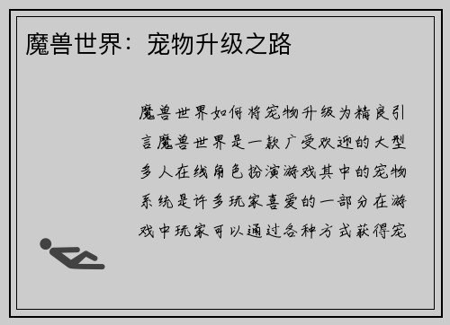 魔兽世界：宠物升级之路